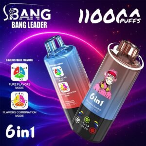 Bang Leader 110000 Puffs Disposable Vape 110K Puffs Wholesale Supplier