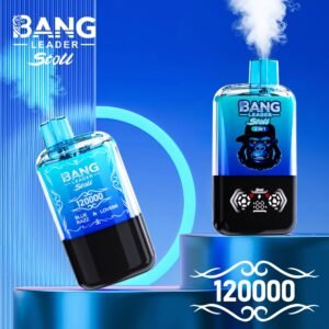 Bang Leader 120000 Puffs Disposable Vape Dual Flavor Switch