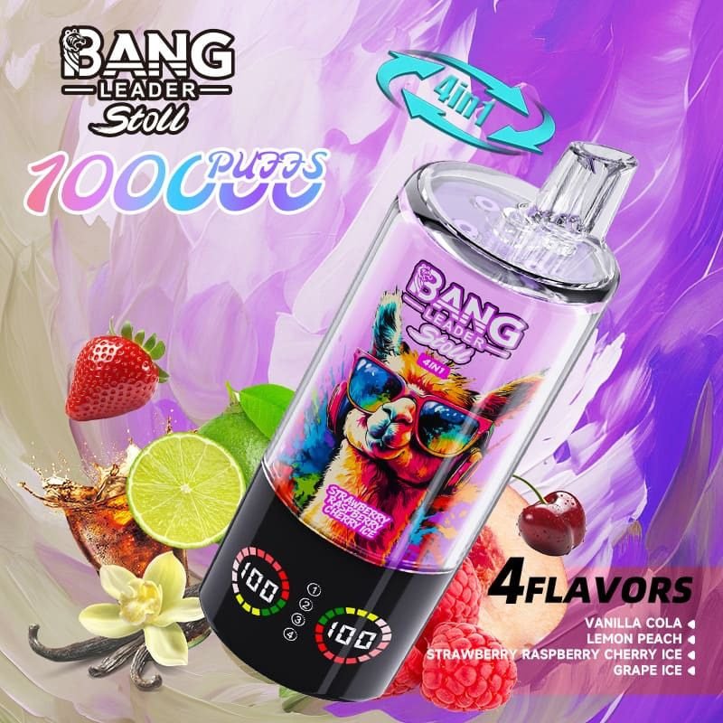 Bang Leader 100000 Puffs 4-in-1 Disposable Vape 100K Puffs Multi-Flavor Wholesale