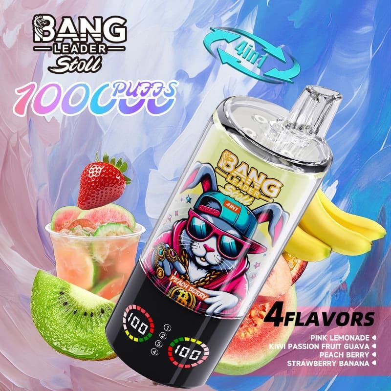 Bang Leader 100000 Puffs 4-in-1 Vape – Multi-Flavor System | 850mAh Power | Mesh Coil | Type-C Recharge | OEM/ODM - Image 4