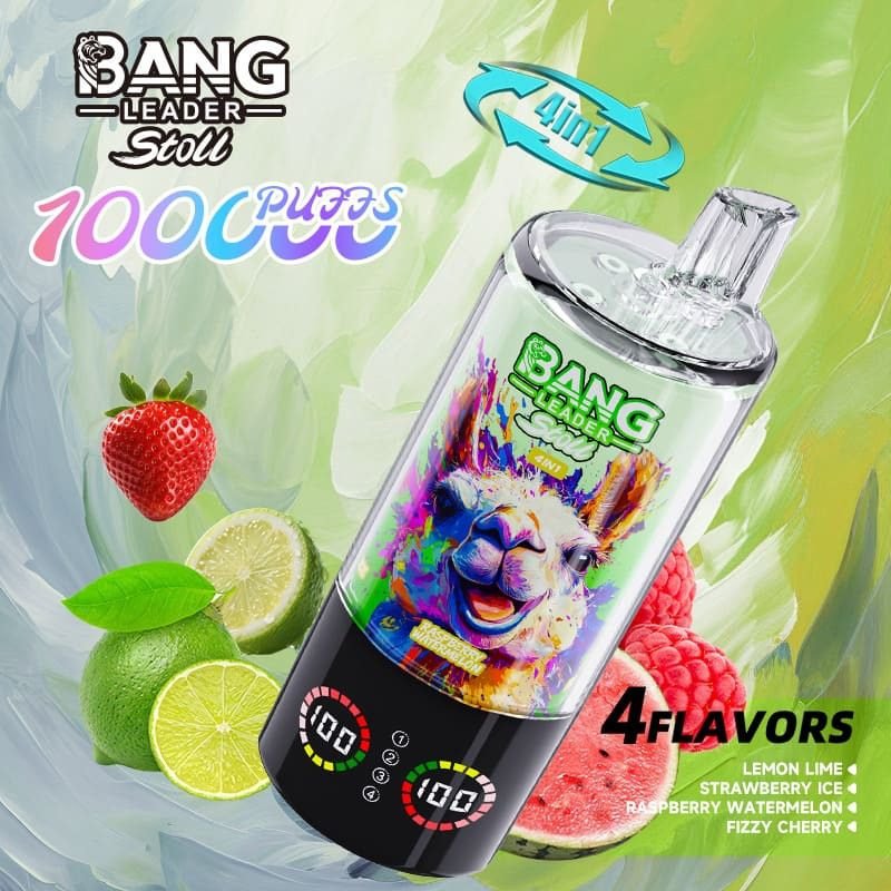 Bang Leader 100000 Puffs 4-in-1 Vape – Multi-Flavor System | 850mAh Power | Mesh Coil | Type-C Recharge | OEM/ODM - Image 6